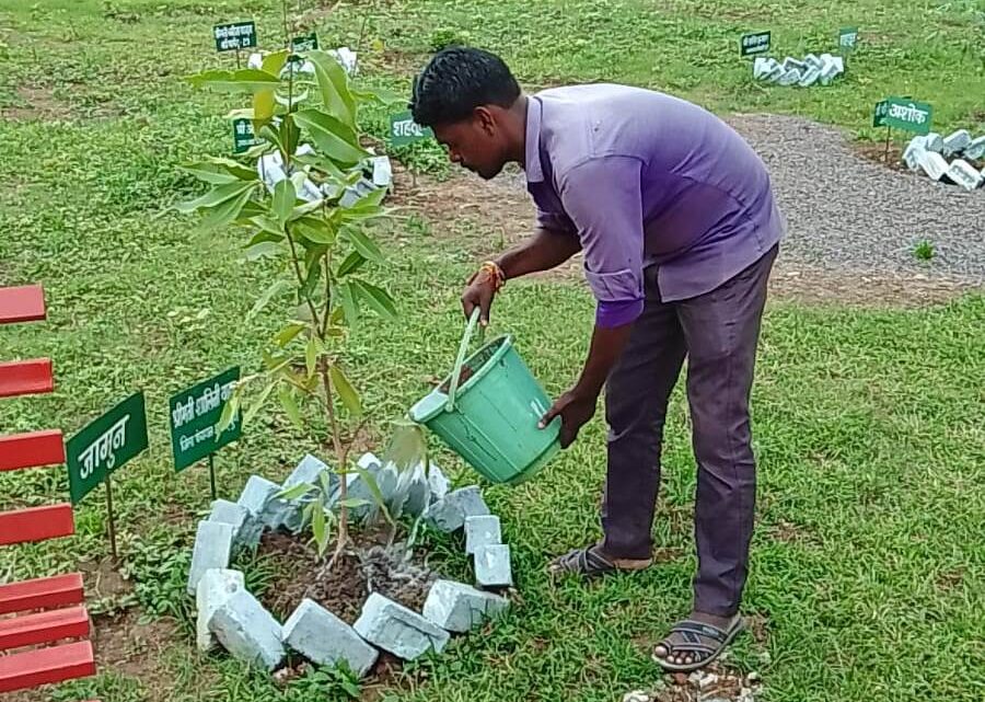 दुर्ग : कृष्ण कुंज में पौधों की नियमित हो रही देखरेख