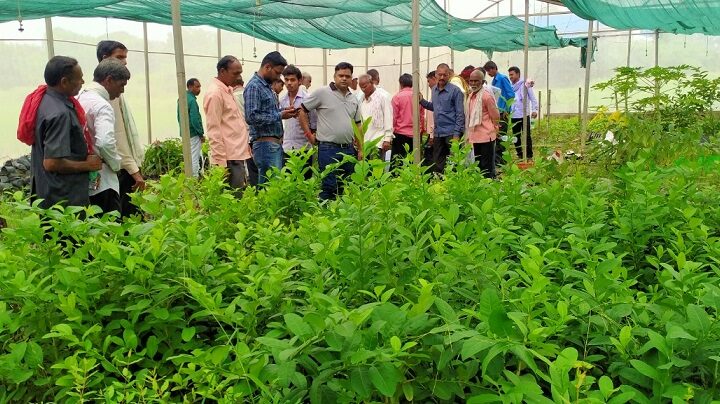 उन्नत खेती के लिए अदाणी फाउंडेशन ने कृषक भ्रमण कार्यक्रम किया आयोजित