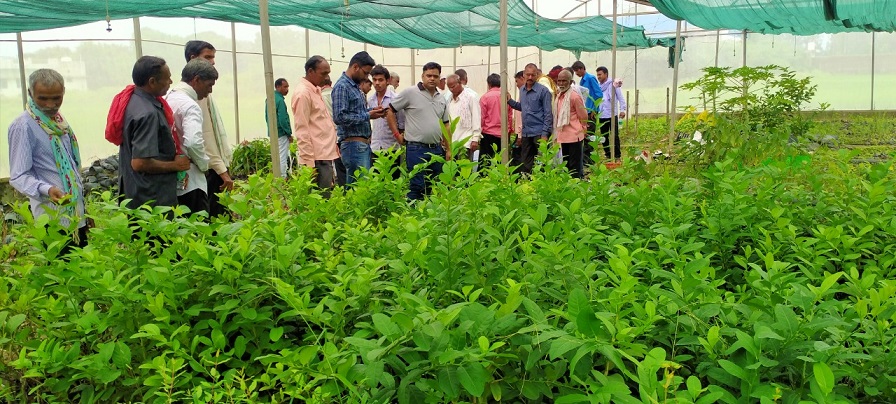 उन्नत खेती के लिए अदाणी फाउंडेशन ने कृषक भ्रमण कार्यक्रम किया आयोजित