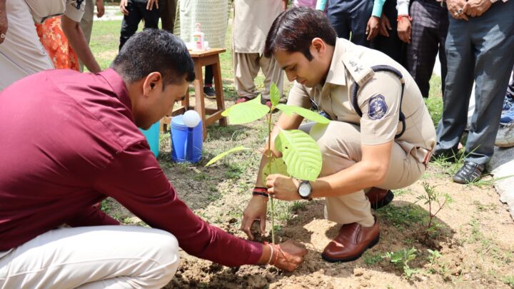 महासमुंद : छत्तीसगढ़ सरकार की महत्वाकांक्षी योजना “कृष्ण कुँज” से प्रेरित होकर जिले के सभी थाना व चौकी परिसर में हुआ वृक्षारोपण