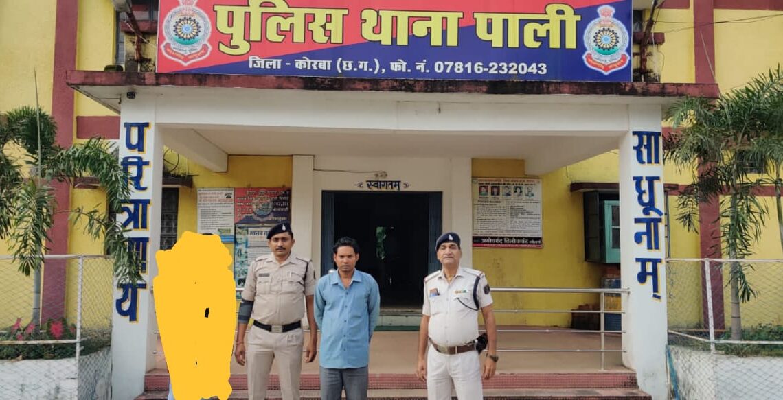 कोरबा : पाली पुलिस ने नाबालिग बालिका के दुष्कर्म का आरोपी गिरफ्तार