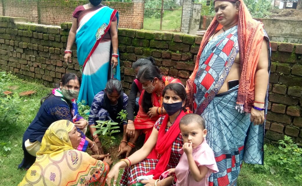 राष्ट्रीय पोषण माह : आंगनबाड़ी केन्द्रों में पोषण वाटिका का किया गया निर्माण…कुपोषण से लड़ाई में सब्जी एवं फलदार पौधेे होंगे सहायक