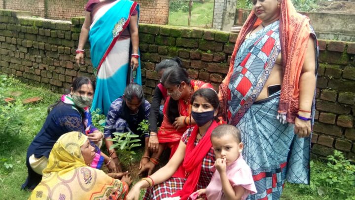 राष्ट्रीय पोषण माह : आंगनबाड़ी केन्द्रों में पोषण वाटिका का किया गया निर्माण…कुपोषण से लड़ाई में सब्जी एवं फलदार पौधेे होंगे सहायक