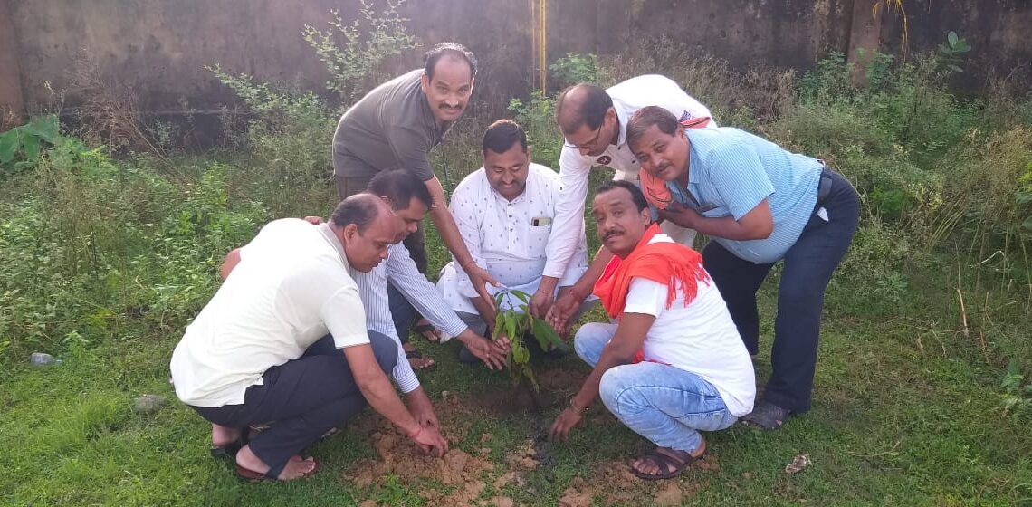 भारतीय जनता पार्टी पिछड़ा वर्ग मोर्चा बालकों मंडल द्वारा ”सेवा पखवाड़ा” के तहत स्वच्छता अभियान एवं वृक्षारोपण का किया गया कार्यक्रम