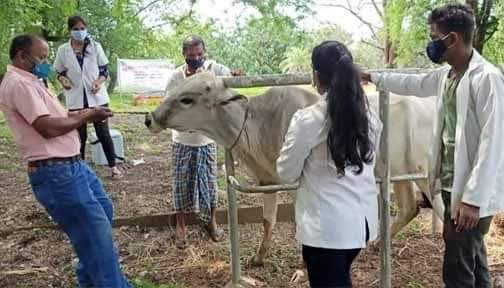 अभियान के सफल क्रियान्वयन हेतु दलों का किया गया गठन