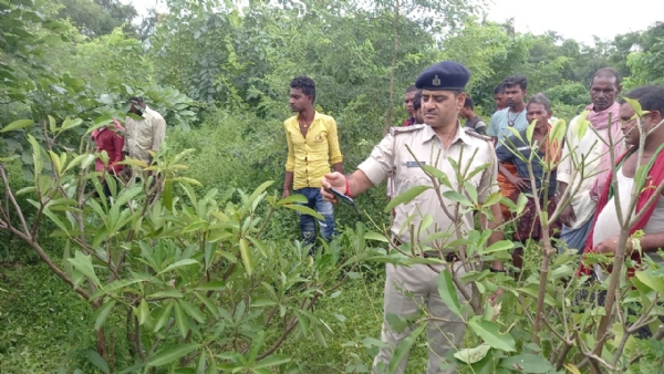 जंगल में पेड़ काटने से रोकने पर वनरक्षी की कुल्हाड़ी से काटकर हत्या