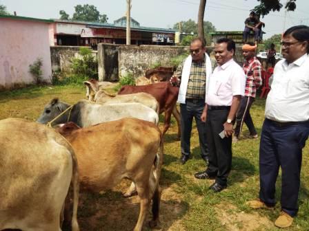 DHAMTARI : गांधी जयंती पर जिले में FMD टीकाकरण अभियान पखवाड़ा का शुभारंभ