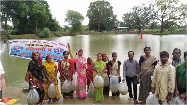 JANJGIR CHAMPA : गोठानों के निर्माण से ग्रामीण अर्थव्यवस्था हो रही मजबूत