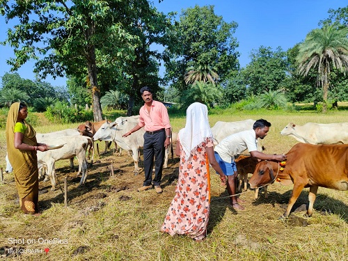 जिले के गौठानो में ग्रामीणों ने उत्साह से मनाया गौठान दिवस