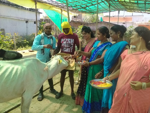 गोवर्धन पूजा को मनाया गया ‌गौठान दिवस