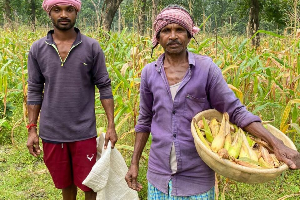 RAIPUR : मक्के की खेती से आर्थिक रूप से सशक्त हुआ सालिक राम ध्रुव का परिवार