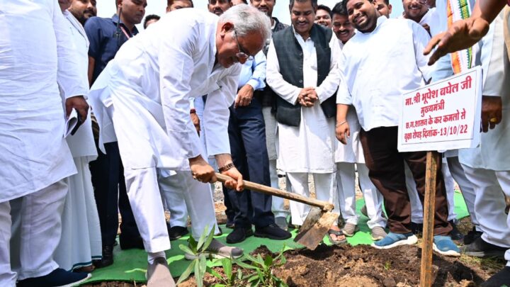 RAIPUR : मुख्यमंत्री भूपेश बघेल ने हसौद विश्राम गृह में रुद्राक्ष का पौधा लगाया