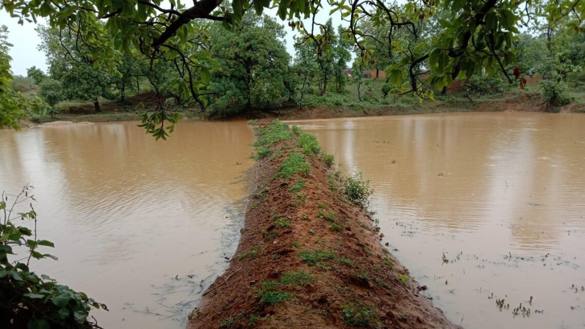 RAIPUR : नरवा विकास कार्यक्रम से बारहमासी बना धनुवा नाला