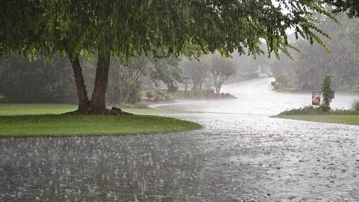 प्रदेश में अब तक 1272.1 मि.मी. वर्षा दर्ज