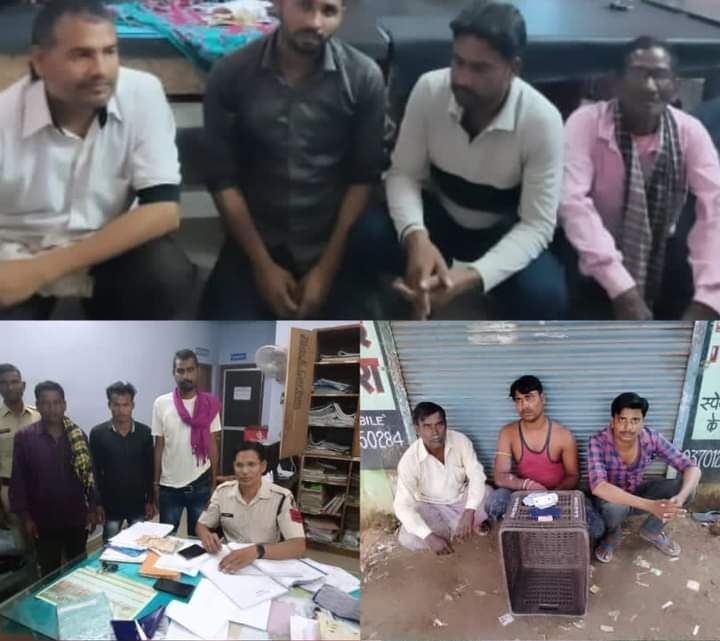 जिला पुलिस मुंगेली द्वारा की जा रही है, अवैध गतिविधियों पर कार्यवाही