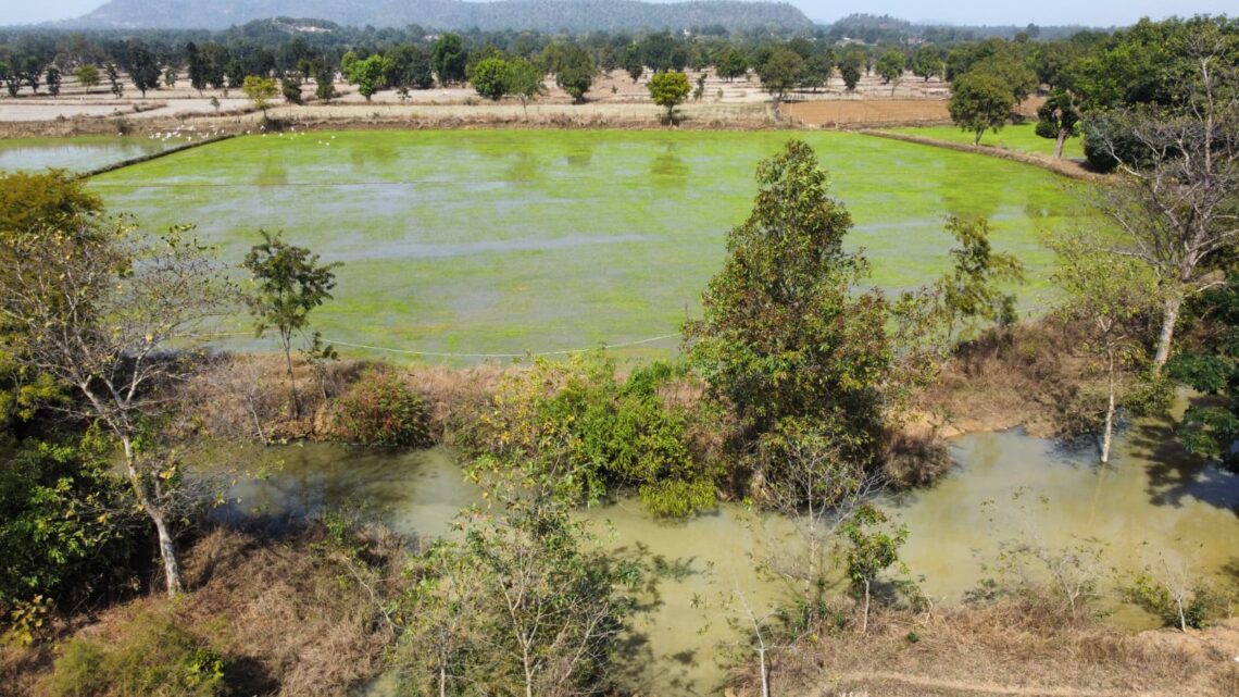 बोराई नाला के उपचार से 90 हेक्टेयर बढ़ा सिचाई रकबा