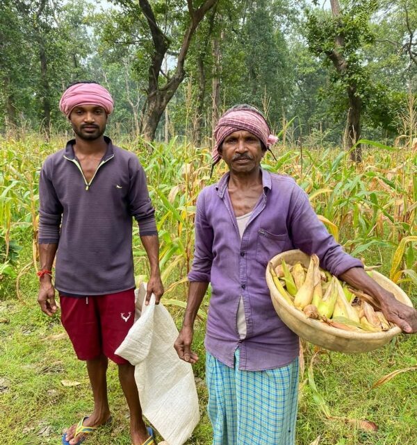 RAIPUR : मक्के की खेती से सालिक राम हुआ आर्थिक रूप से सशक्त