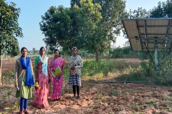 छत्तीसगढ़ में ग्रामीण अर्थव्यवस्था को मजबूती प्रदान करने में गौठानों की भूमिका महत्वपूर्ण