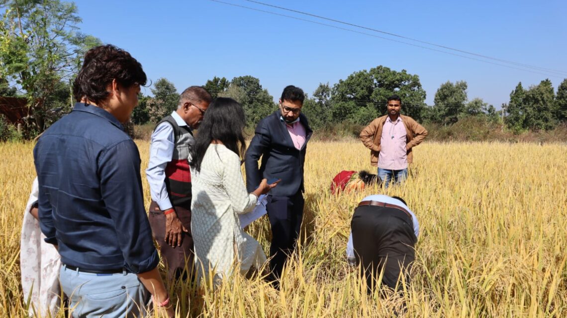 फसल कटाई प्रयोग का निरीक्षण करने पहुंचे कलेक्टर श्री लंगेह ने धान कटाई कर किसानी में आजमाए हाथ