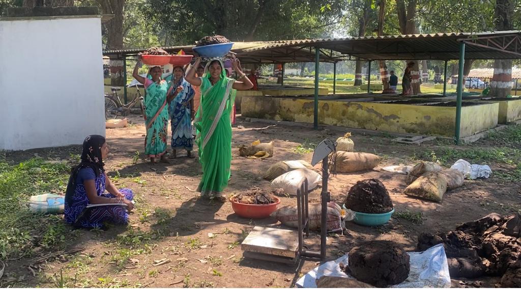 बदलता दंतेवाड़ा नई तस्वीर : गोधन न्याय योजना से खुला रोजगार का द्वार