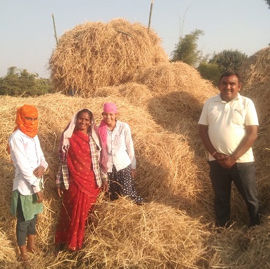 पशुचारा के लिए किसानों ने 93 हजार क्विंटल से अधिक का पैरादान किया