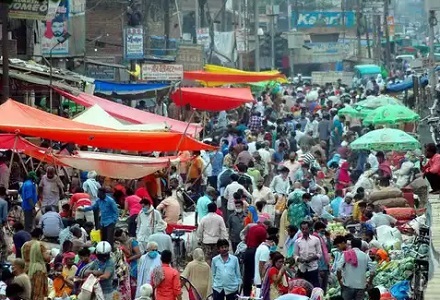 बढ़ी आबादी ने किया विशाल जीवों का सफाया