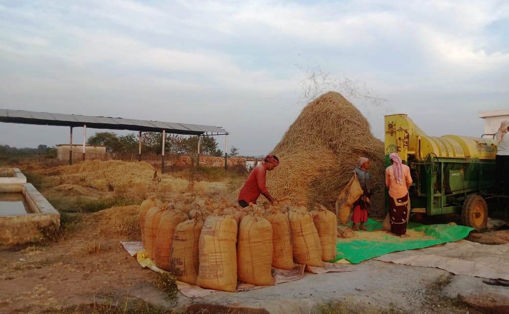 खोखसीपाली और हिच्छा ग्राम पंचायत के सरपंच एवं गौठान सदस्यों द्वारा किया गया पैरादान