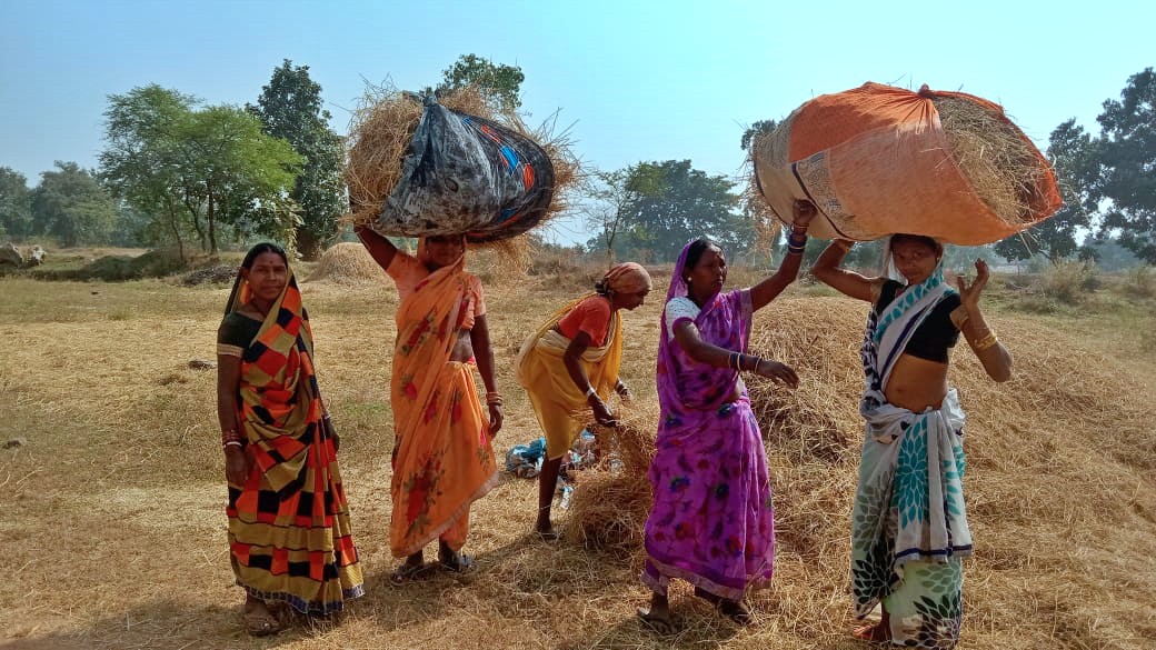 जिले के गौैठानों में पैरादान का कार्य निरंतर जारी