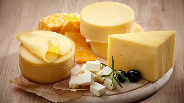 Cheese side effects : पिज्जा से लेकर पराठा तक, सब में एड कर रहीं हैं ‘चीज़’, तो बीमार पड़ने के लिए तैयार हो जाएं