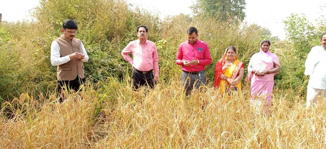 कलेक्टर ने किया ग्राम जेवरा में फसल कटाई प्रयोग का निरीक्षण