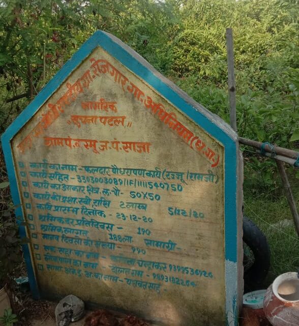 महात्मा गांधी नरेगा के सहयोग से रज्जू ने लगाये 500 अमरुद के पौधे