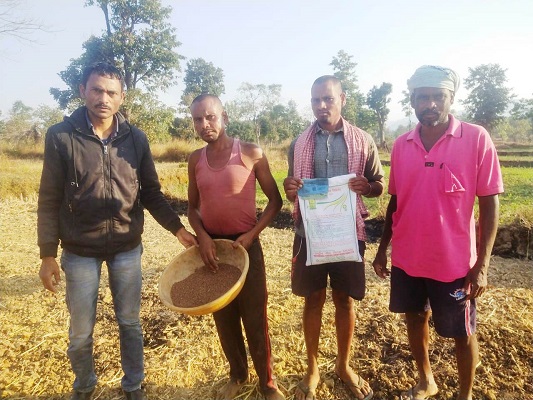 धान के बदले रागी की खेती करने किसानों को किया जा रहा है प्रोत्साहित