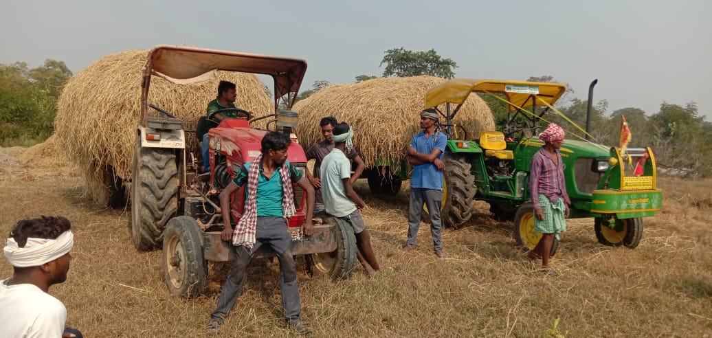 जिले के विभिन्न गौठानों में पैरादान महाअभियान के अवसर पर बड़े पैमाने पर किसानों ने किया पैरादान