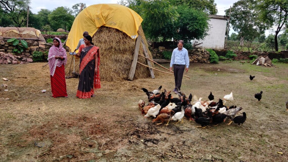 कुक्कुट पालन कर अमलडीहा के स्व-सहायता समूह हो रही आर्थिक रूप से मजबूत  