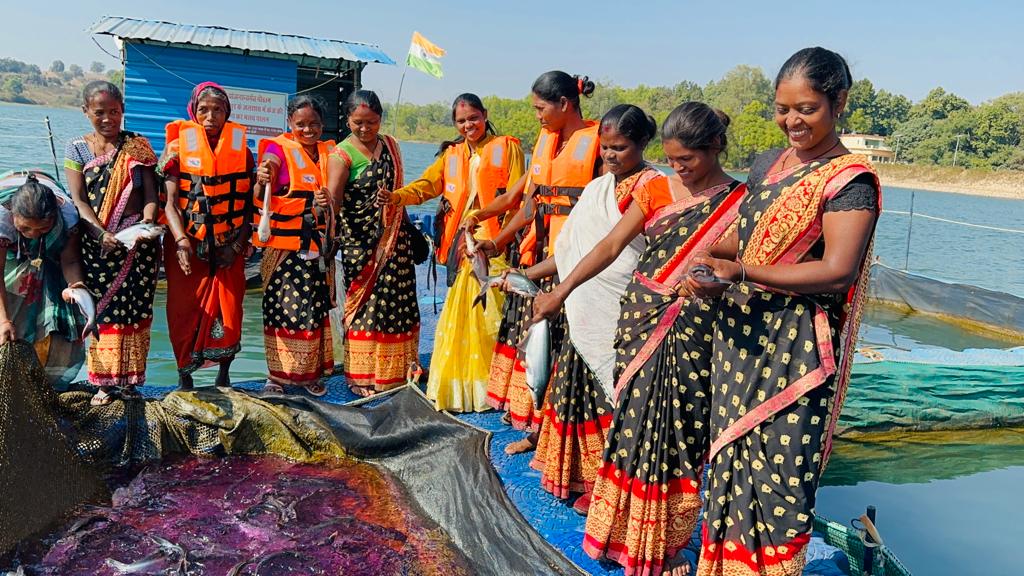 अम्बिकापुर : कुंवरपुर के जलाशय में केज स्थापित कर महिला समूह कर रही हैं मत्स्य पालन