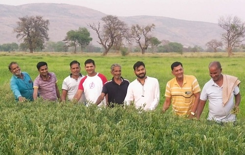 कृषि विभाग के प्रयास से इस वर्ष रागी के क्षेत्र में 4 गुना बढ़ोतरी