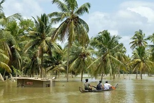 केरल के ज़मीनी पर्यावरण योद्धा