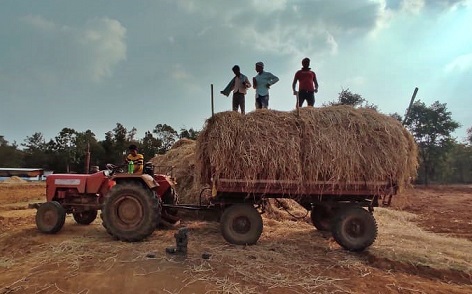 जिले के गौठानों में पैरादान निरंतर जारी