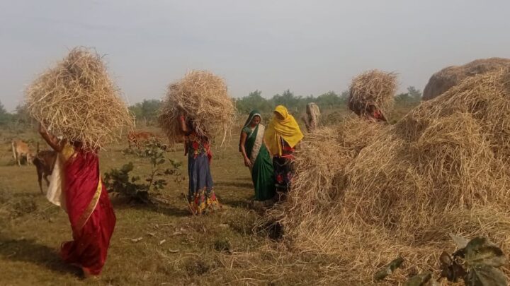 मुख्यमंत्री की पैरादान अपील ने तोड़े सारे रिकॉर्ड, जिले में हुआ रिकॉर्ड पैरादान