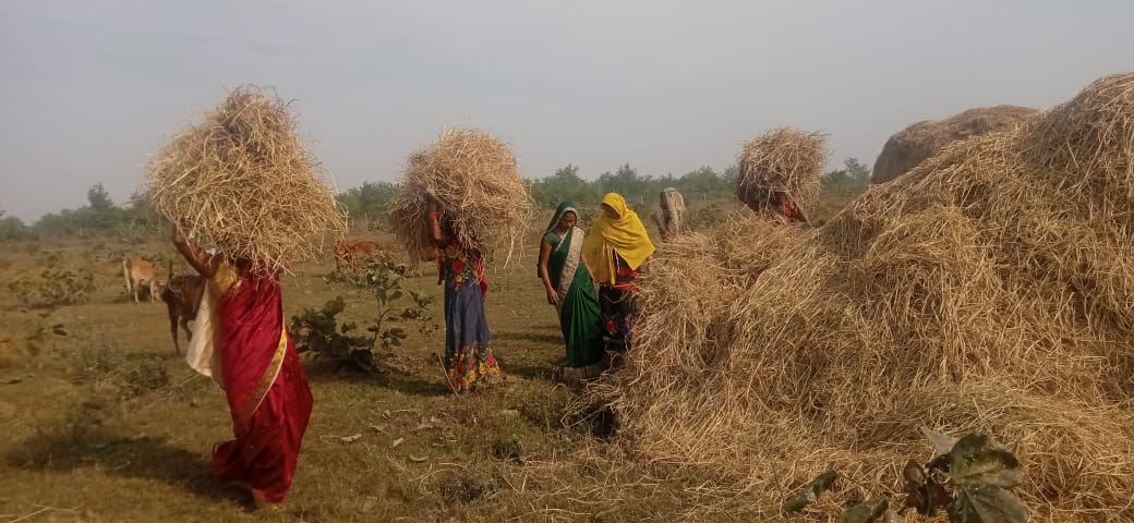 मुख्यमंत्री की पैरादान अपील ने तोड़े सारे रिकॉर्ड, जिले में हुआ रिकॉर्ड पैरादान