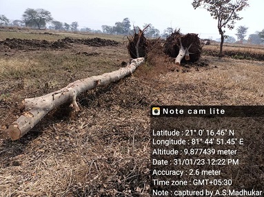 भारतमाला निर्माण मार्ग में जे.सी.बी. मशीन द्वारा अवैध रूप से वनोपज परिवहन का मामला