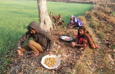  न्यूनतम समर्थन मूल्य पर पलाश फूल की खरीदी प्रारंभ