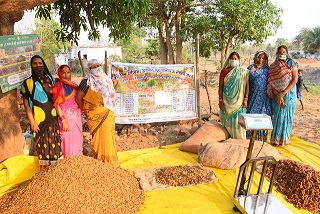 छत्तीसगढ़ में 65 लघु वनोपजों की हो रही खरीदी समर्थन मूल्य पर लघु वनोपजों के संग्रहण में देश में अव्वल राज्य छत्तीसगढ़