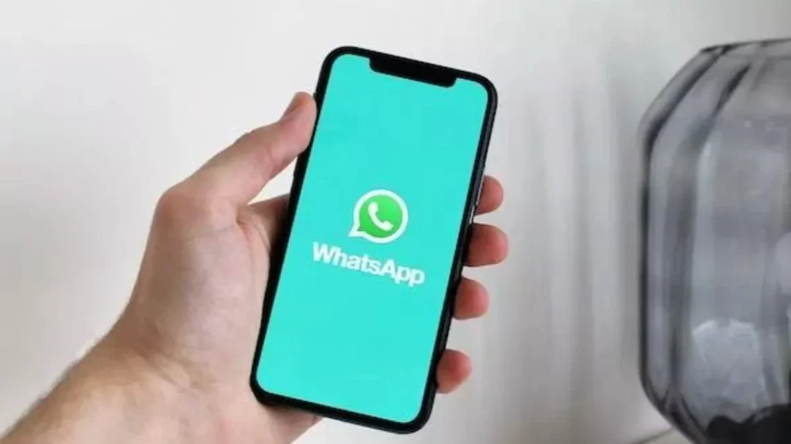 ज्यादातर भारतीय WhatsApp यूजर्स को आते हैं अनचाहे कॉल और SMS, नए सर्वे रिपोर्ट में मिली जानकारी