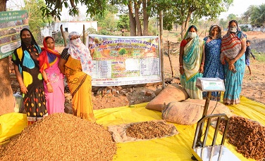 चार सालों में वनोपज संग्राहकों की संख्या में 4 गुना से ज्यादा की बढ़ोत्तरी