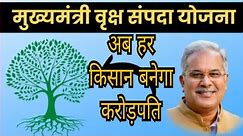 ”मुख्यमंत्री वृक्ष संपदा योजना” : अब तक 19 हजार से अधिक हितग्राहियों के लगभग 30 हजार एकड़ निजी भूमि वृक्षारोपण हेतु पंजीकृत