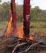 Breaking News : सुरक्षाबलों ने नक्सलियों के स्मारक को किया ध्वस्त, बिजली के वायर एवं पटाखे सहित अन्य सामग्री बरामद…