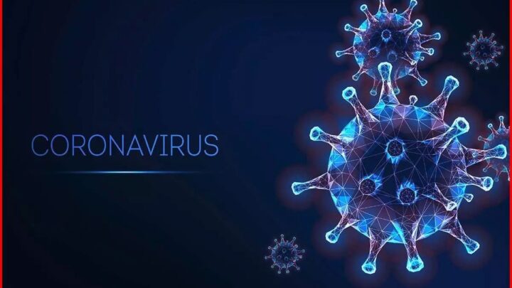 देश में Corona Virus से 29 की मौत, 12 हजार से ज्यादा नए केस आए