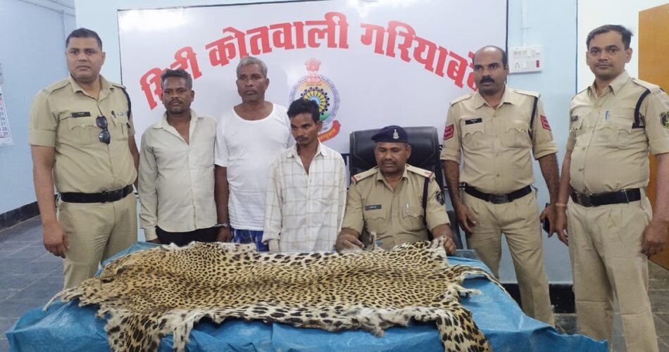 CG CRIME NEWS : जगंली जानवरों का शिकार करने वाले 3 आरोपी गिरफ्तार, शिकारियों से तेंदुए की खाल बरामद….