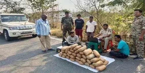 CG CRIME : गांजा सप्लाई करते 2 युवक गिरफ्तार